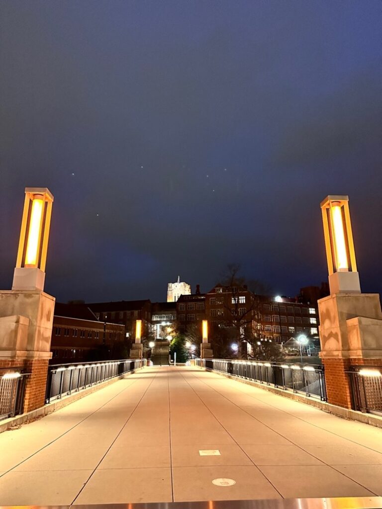 University of Tennessee Bridge
