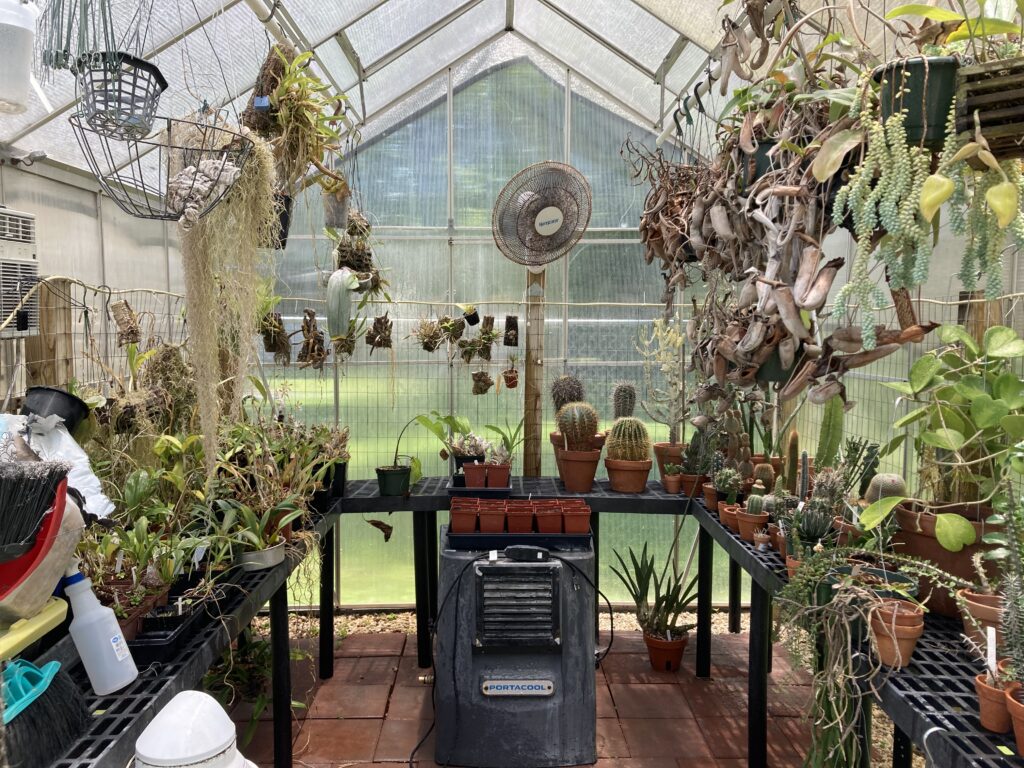 greenhouse