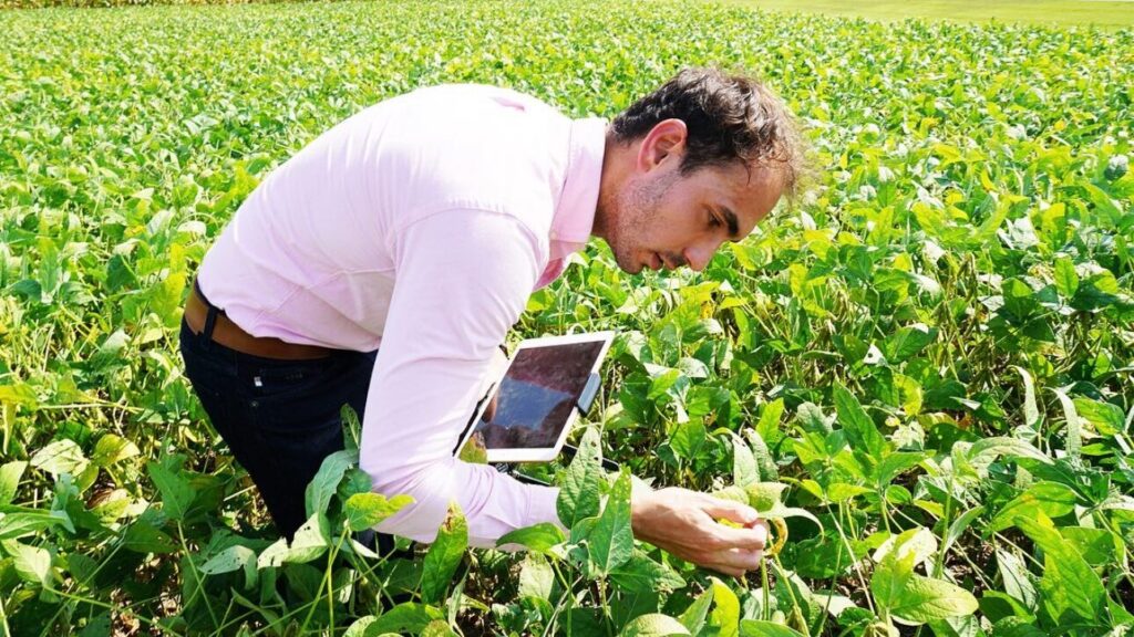 student looks at field crops