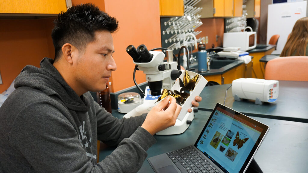 student looking at specimen in lab