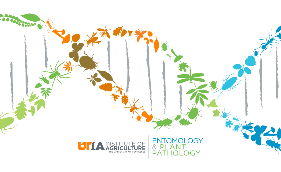 EPP dna logo with entomology and plant pathology
