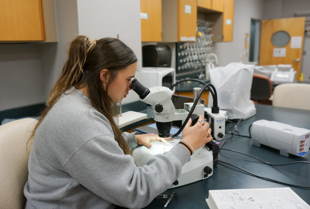 student in lab looking through a microscope