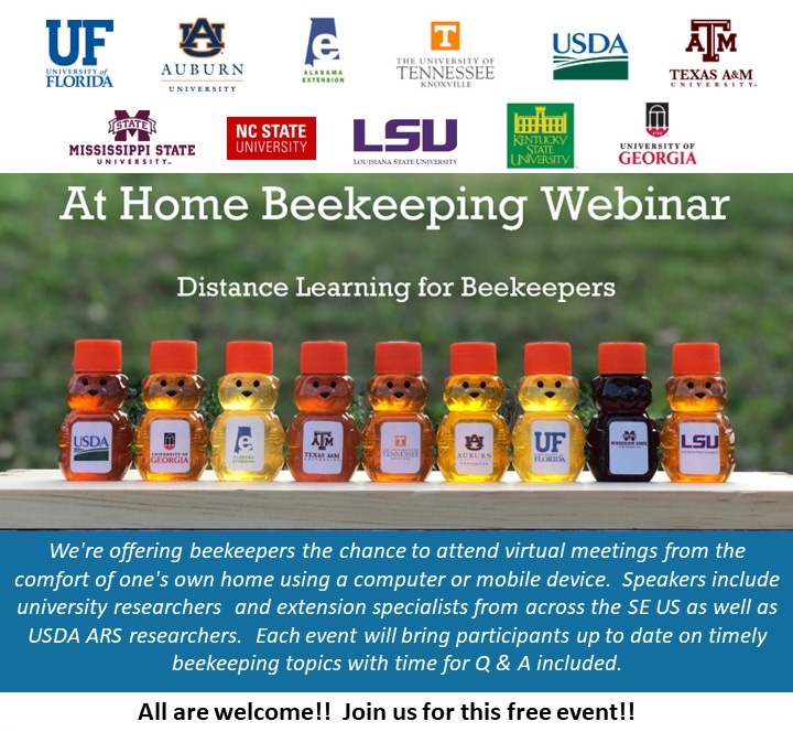 At Home Beekeeping Webinar flyer. Distance Learning for beekeepers text. bear bottles filled with honey from collaborating universities.